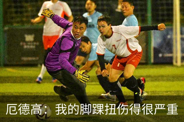 厄德高：我的脚踝扭伤得很严重